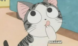 动漫 猫,猫咪的奇幻冒险之旅